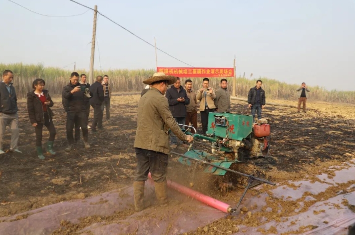 微信截圖_20250310155929.png
